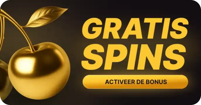 Casino BetMGM NL
